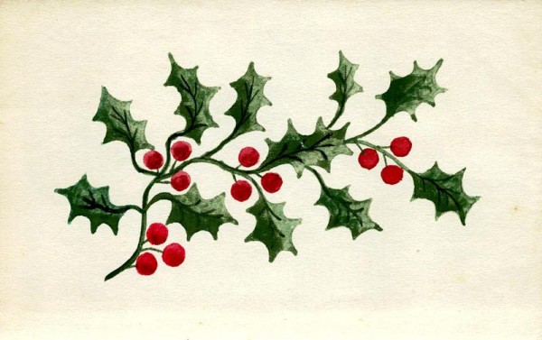 Stechpalme Vorderseite