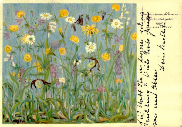 H.A. Muntwyler,Bergwiesenblumen Vorderseite