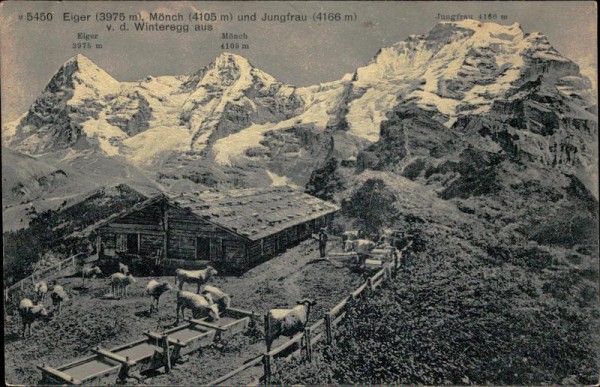 Eiger, Mönch und die Jungfrau Vorderseite