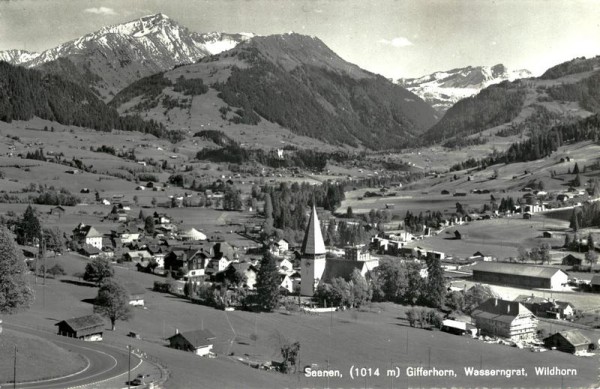 Saanen Vorderseite