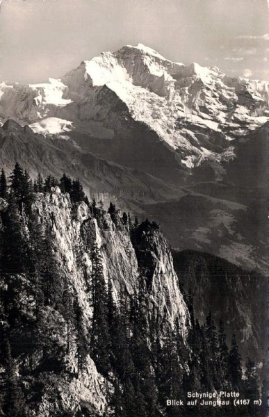 Schynige Platte, Blick auf Jungfrau Vorderseite