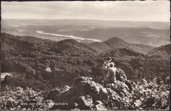 Blick vom Ölberg rheinaufwärts