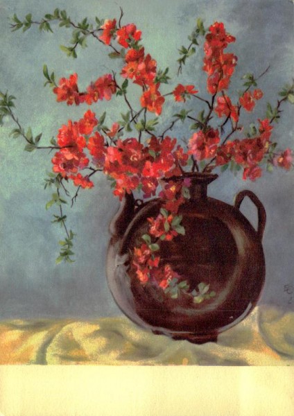 Feuerbusch Vorderseite