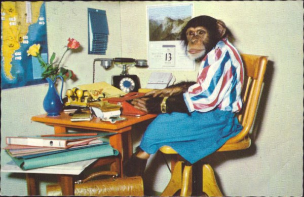 Der Affe am Schreibtisch