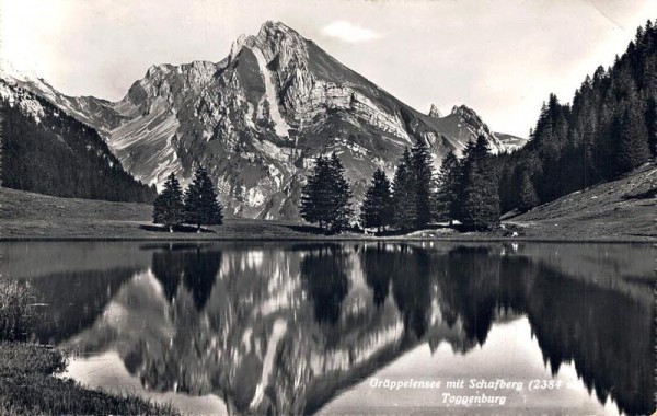 Gräppelensee mit Schafberg, Toggenburg Vorderseite