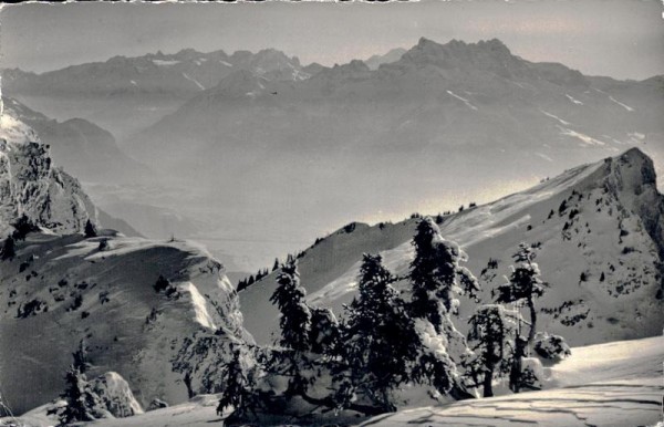 Leysin, Les Dents du Midi, vue de la Berneuse Vorderseite