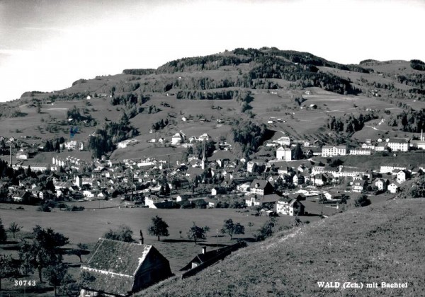 Wald mit Bachtel Vorderseite