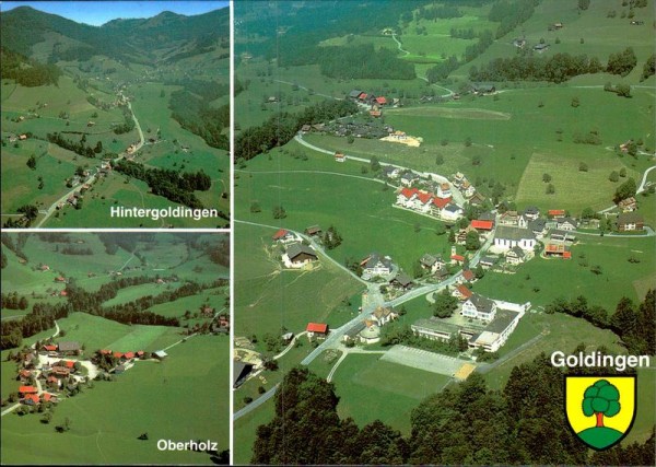 Goldingen, Flugaufnahme Vorderseite