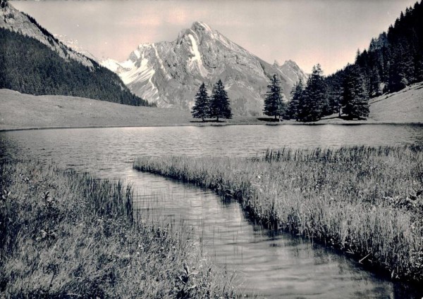 Gräppelensee  und Schafberg Vorderseite