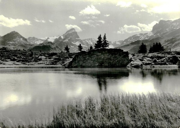 Bergseeli auf Alp Flix mit Piz Platta Vorderseite