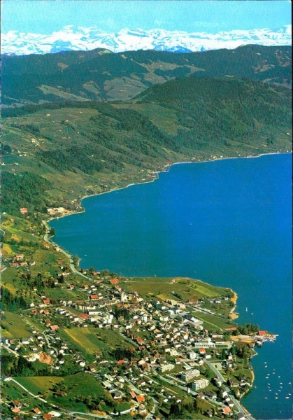Oberägeri, Flugaufnahme mit Aegerisee und Alpen Vorderseite