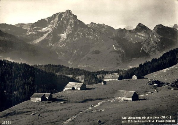 Alp Altschen ob Amden mit Mürtschenstock u. Fronalpstock Vorderseite