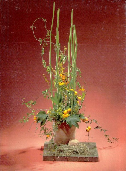 Polygonum mit Helenium und Zierquitte Vorderseite