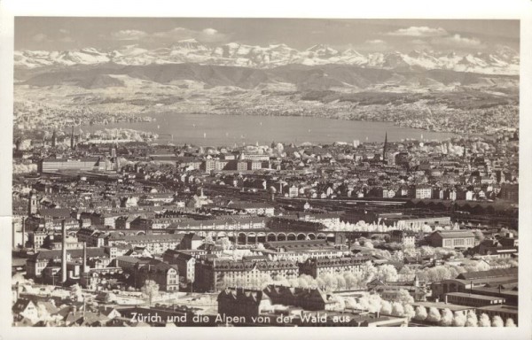 Zürich und die Alpen von der Waid aus