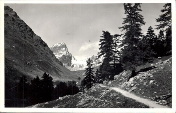 Guarda GR Vorderseite
