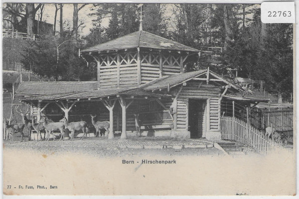 Bern - Hirschenpark