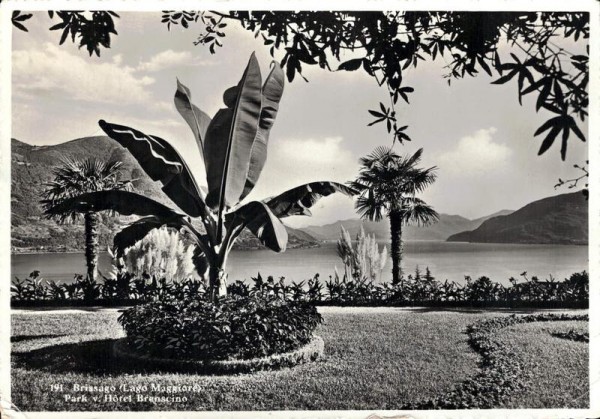 Brissago (Lago Maggiore), Park v. Hôtel Brenscino Vorderseite
