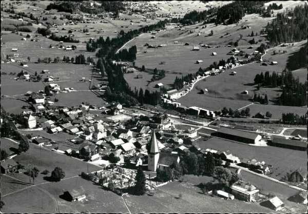 Saanen Vorderseite