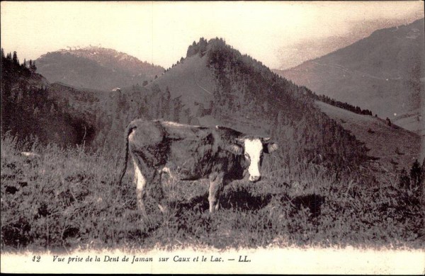 Dent de Jaman Vorderseite