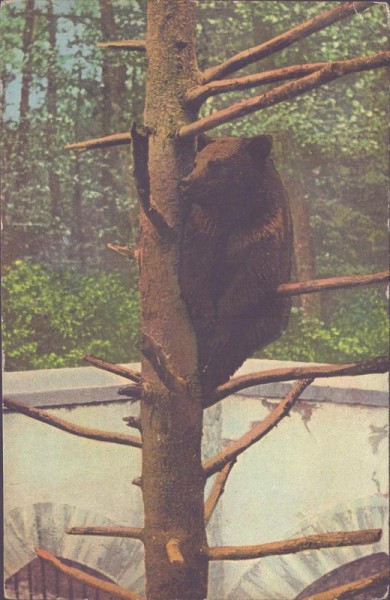 Basel, Zoolog. Garten, Bärenzwinger Vorderseite