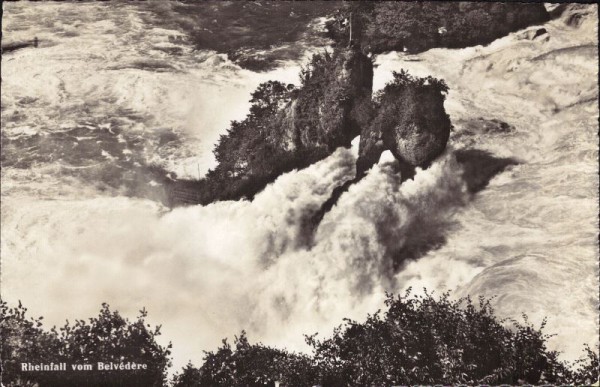 Rheinfall vom Belvédère