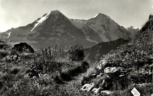 Alpengarten Schynige Platte, Eiger und Mönch Vorderseite
