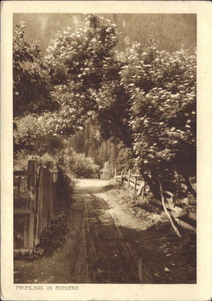 Frühling in Schiers