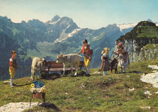 Blick zum Altmann, Rotsteinpass und Säntis, Ebenalp Vorderseite