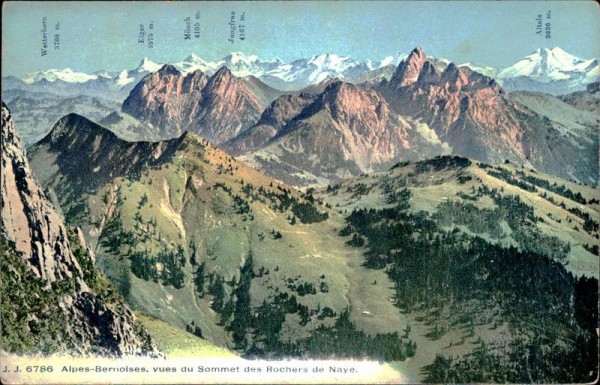 Berner Alpen Vorderseite