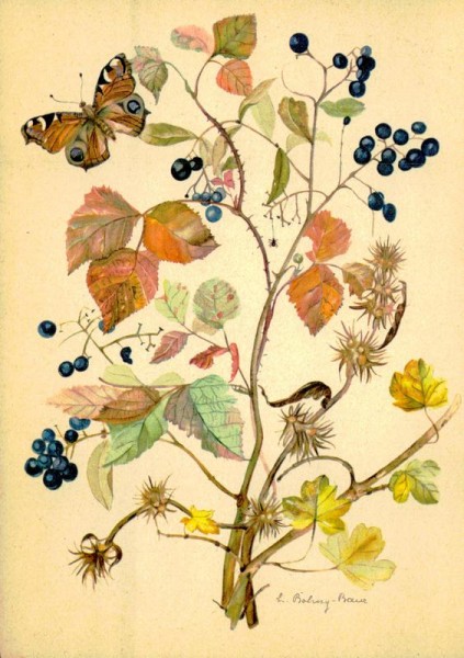 Tagpfauenauge mit Herbstzweigen Vorderseite