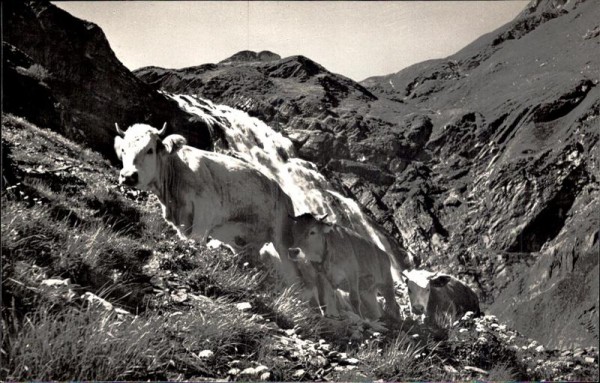 Adelboden Vorderseite