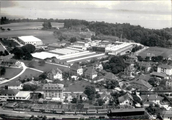Cortaillod Vorderseite