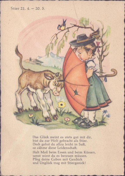 Stier im Sternzeichen  Vorderseite