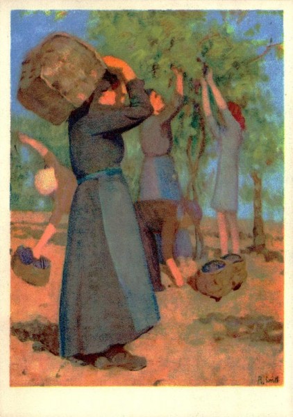 Die Weinlese, Conti Regina Vorderseite