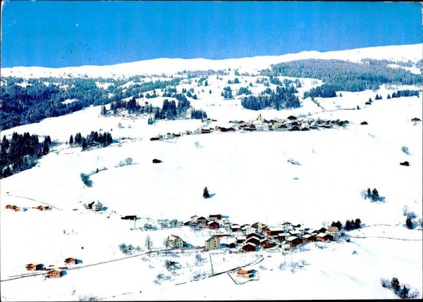Tartar GR Vorderseite