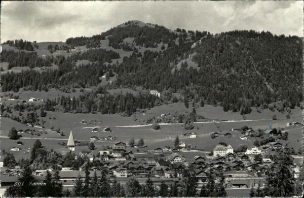 Saanen Vorderseite