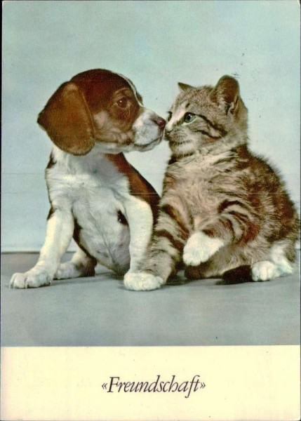 Freundschaft Vorderseite