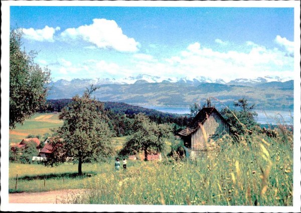 Am Zürichsee Vorderseite