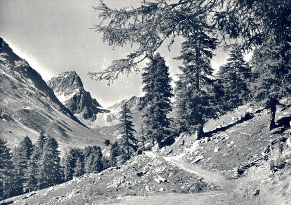 Guarda Tuoital mit Piz Buin Vorderseite