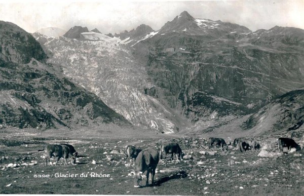 Glacier du Rhone Vorderseite