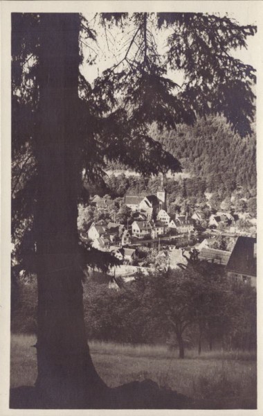 Bad Liebenzel von Westen