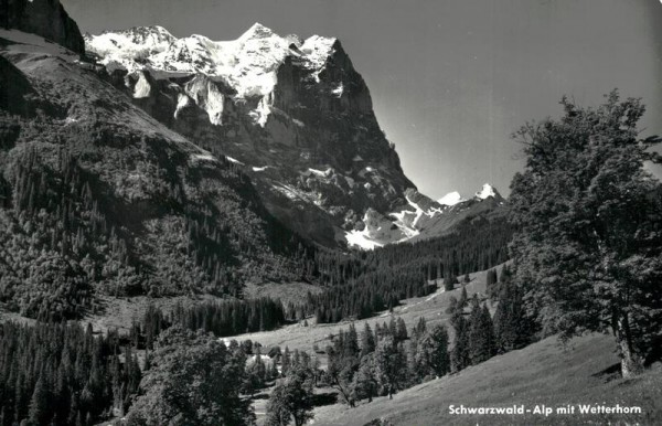 Wetterhorn Vorderseite
