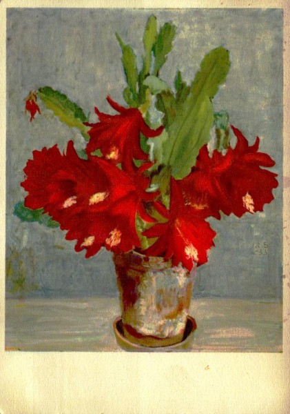 Roter Kaktus Vorderseite