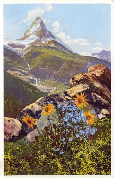 Matterhorn mit Blumen