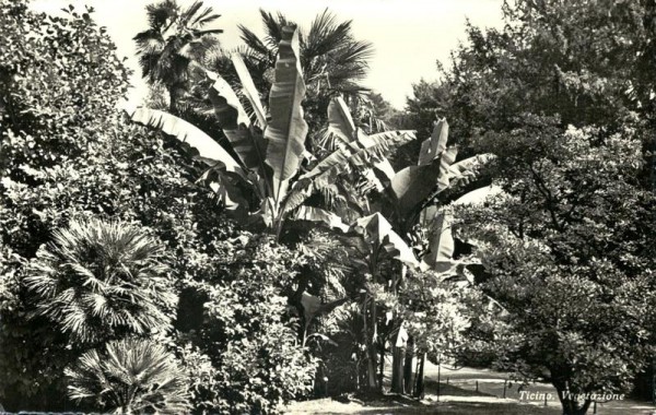 Vegetazione di Ticino Vorderseite