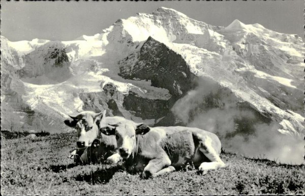 Jungfrau (4158 m) Vorderseite
