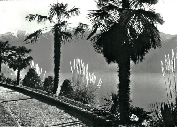 Brissago, Lago Maggiore Vorderseite