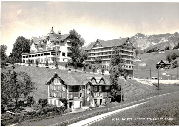 Wildhaus, Hotel Acker Vorderseite