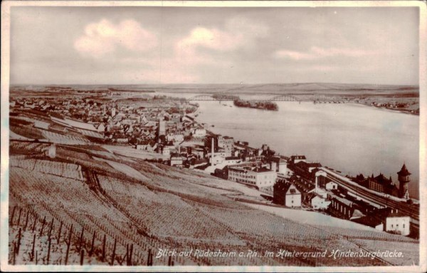 Blick auf Rüdesheim am Rhein im Hintergrund Hindenburgbrücke Vorderseite