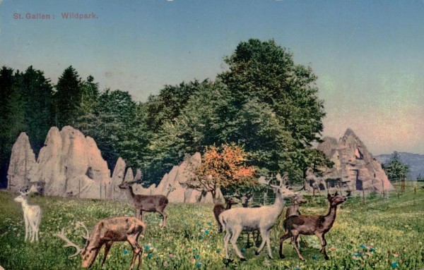 Wildpark (St. Gallen) Vorderseite
